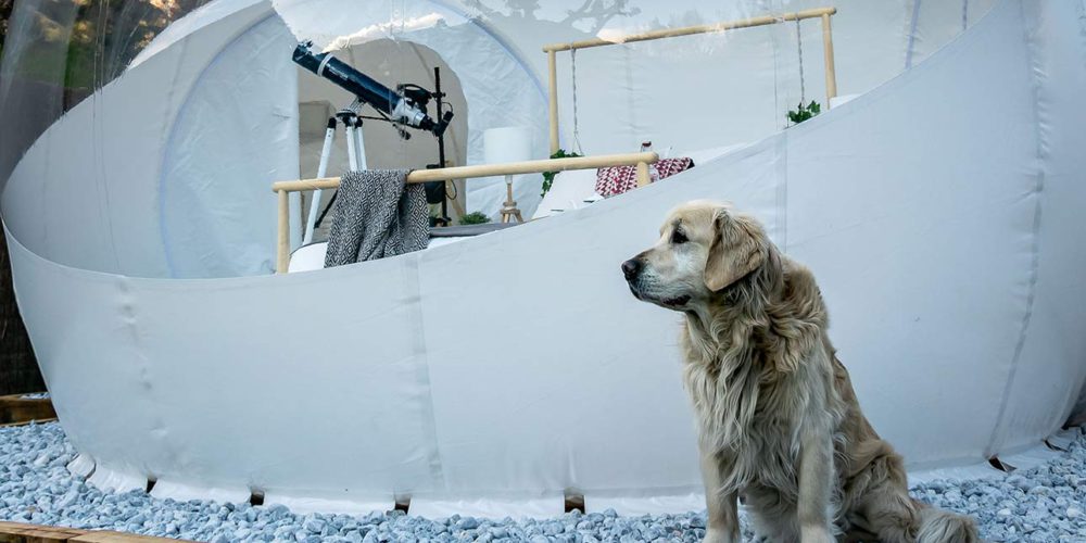 nomading camp reservar casa burbuja en ronda con perro o mascota