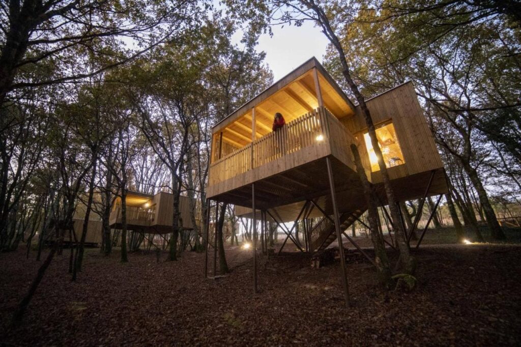 hotel glamping en asturias cabaña arbol en Enoturismo María Manuela