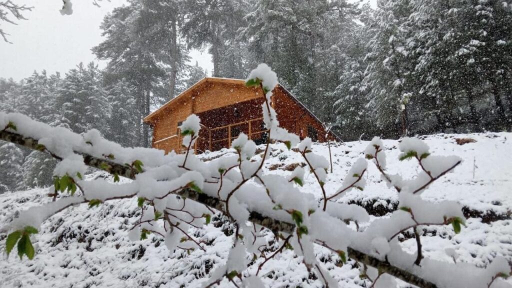 glamping bungallow cabaña en jaen con Cabaña Garrote Gordo